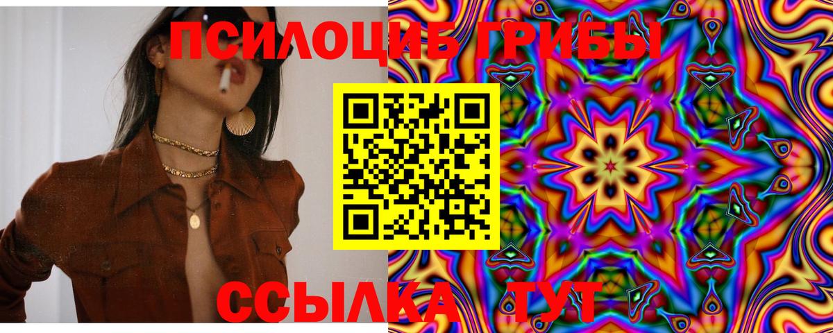 магазин  наркотиков  Галлюциногенные грибы Magic Shrooms  Семилуки  Вход с VPN  Галлюциногенные грибы Psilocybe 